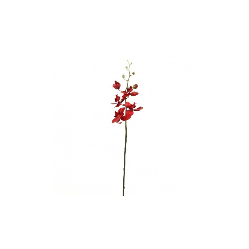 Artificial flower, red Phalaenopsis orchid stem from PAULINE H